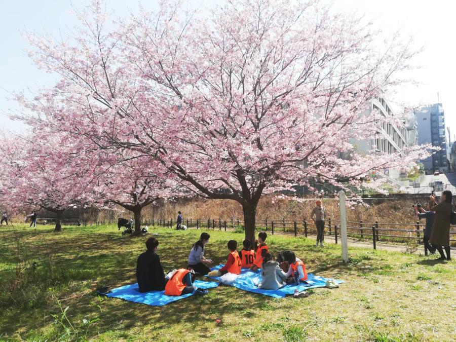 神奈川県横浜市都筑区中川中央1-19-20 プライムシティ201にある、発達支援・児童指導員のお仕事求人