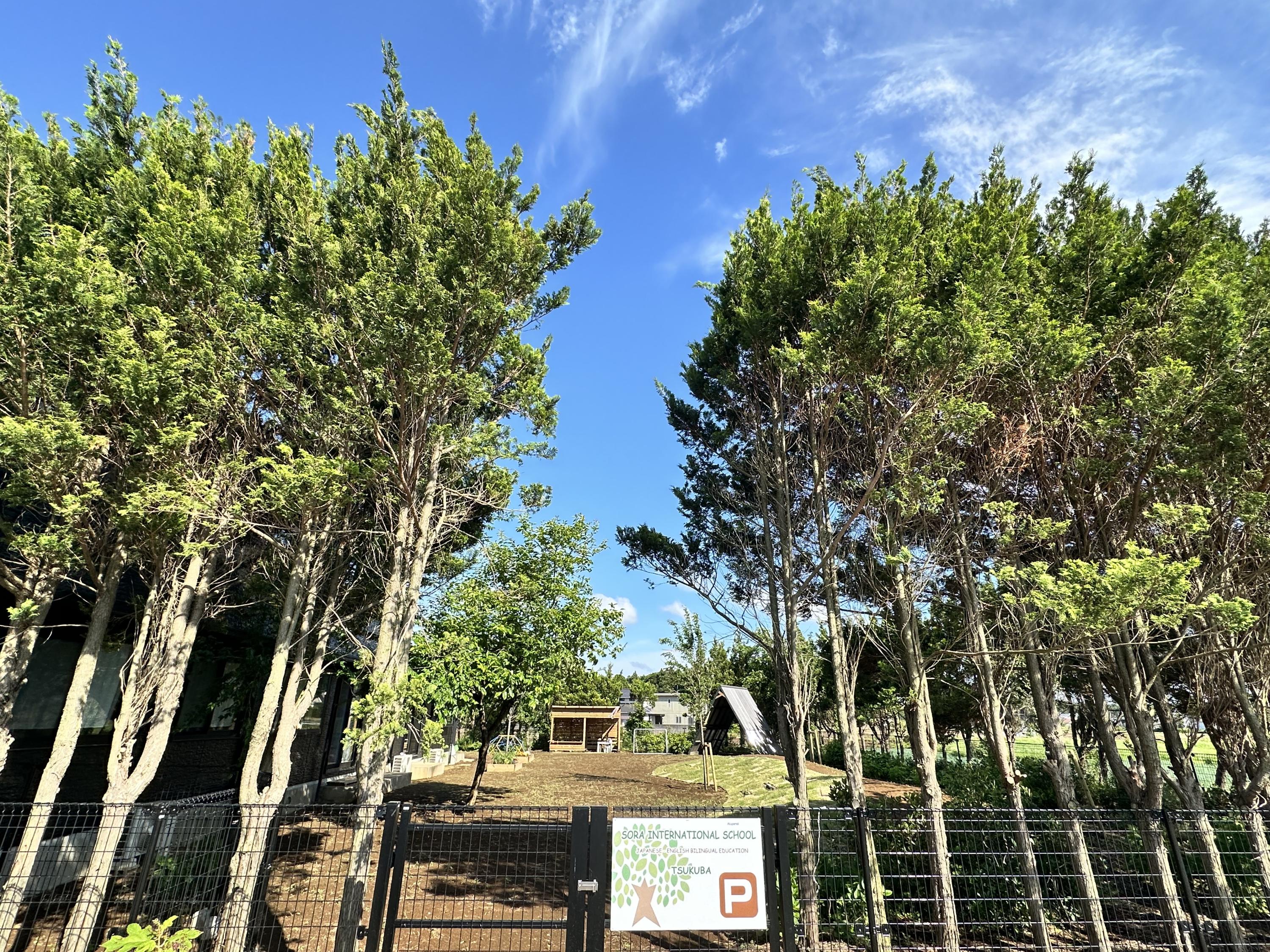 茨城県つくば市大井429-3にある、保育のお仕事求人